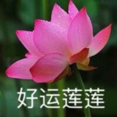 亚新网站